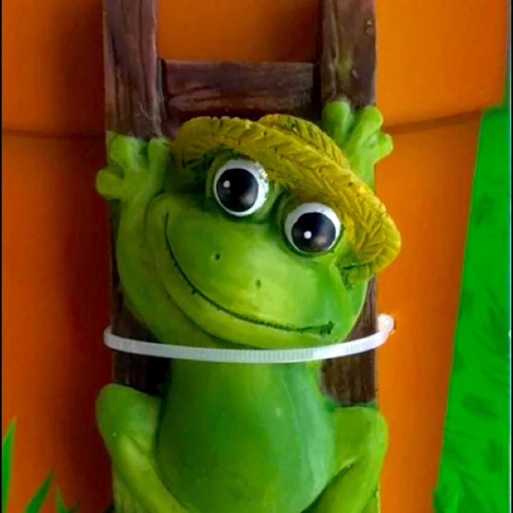BRAND NEW FROG FLOWER POT HOLDER🐸
